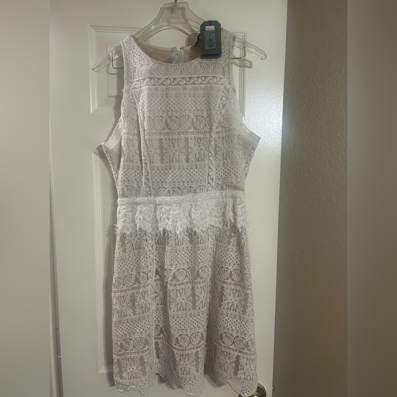 NWT ALLSAINTS Malia Lace Dress Embroidered Ivory All Saints Small Size 4 - Picture 11 of 16